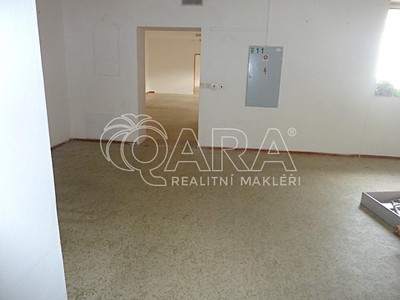 Pronájem komerčního prostoru, 230 m² (2 z 8)