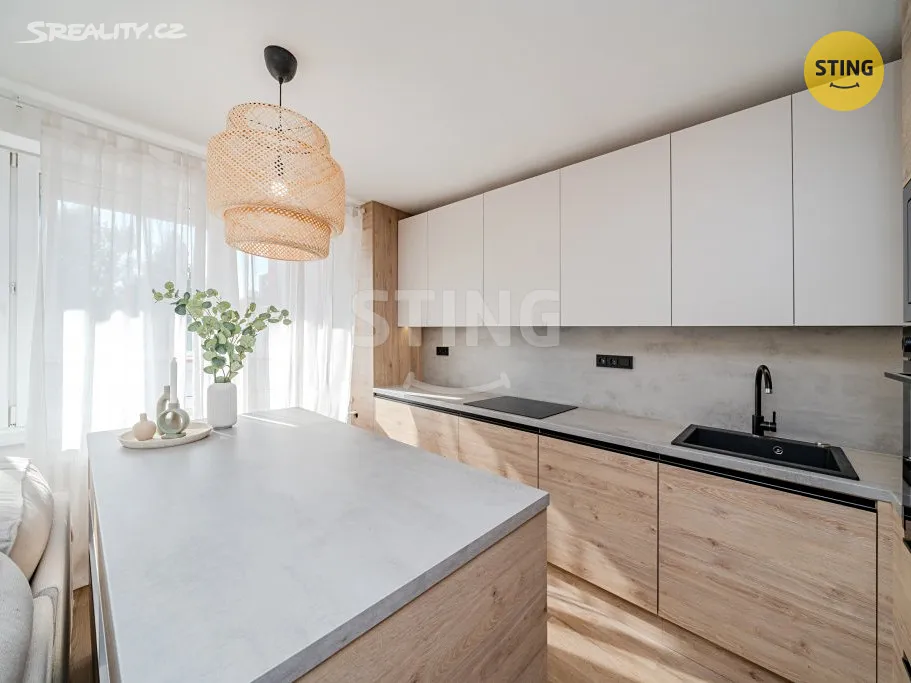 Pronájem bytu 4+kk 68 m² - View 2
