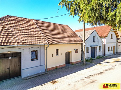 Prodej vinného sklepa 160 m²