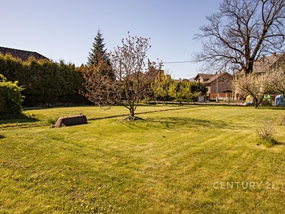 Ділянка на продаж, 800 м² (3 з 8)