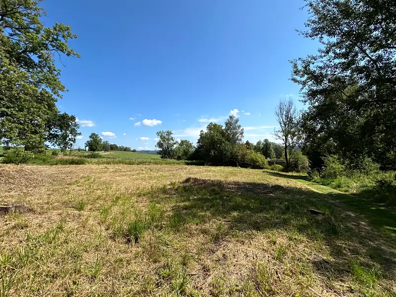 Prodej stavebního pozemku 4593 m², Horní Planá – náhled fotky 2
