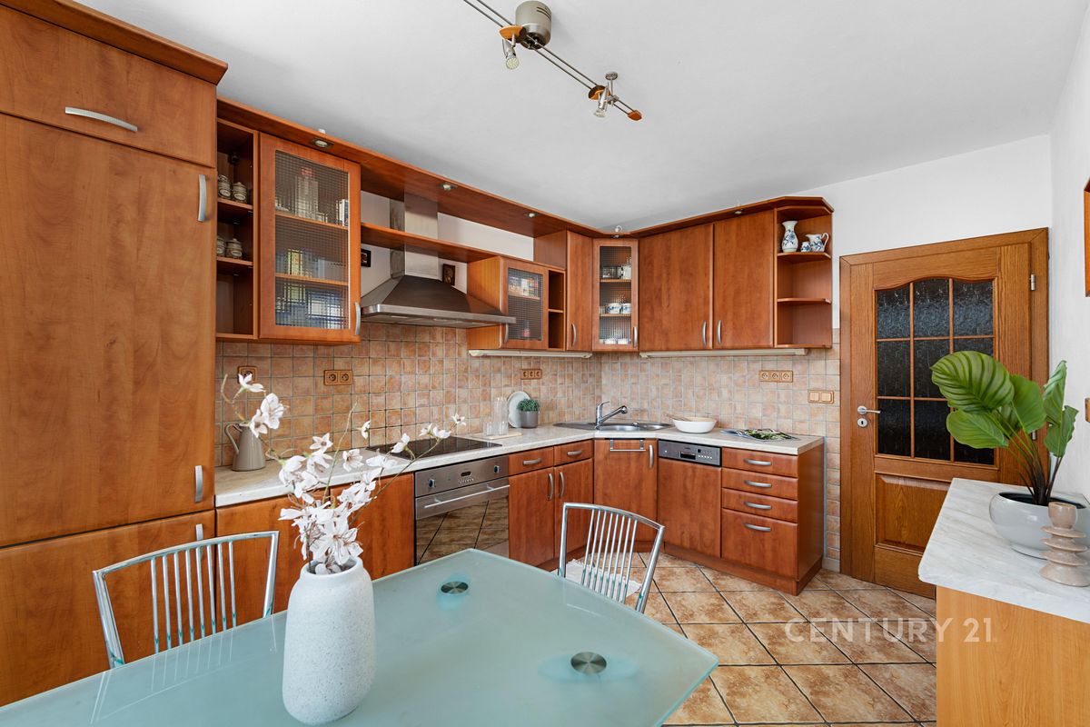 Prodej rodinného domu 346 m², pozemek 1494 m² – fotografie 2