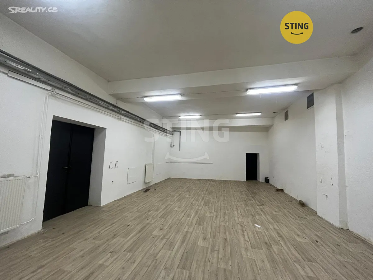 Pronájem skladového prostoru 80 m², Opava