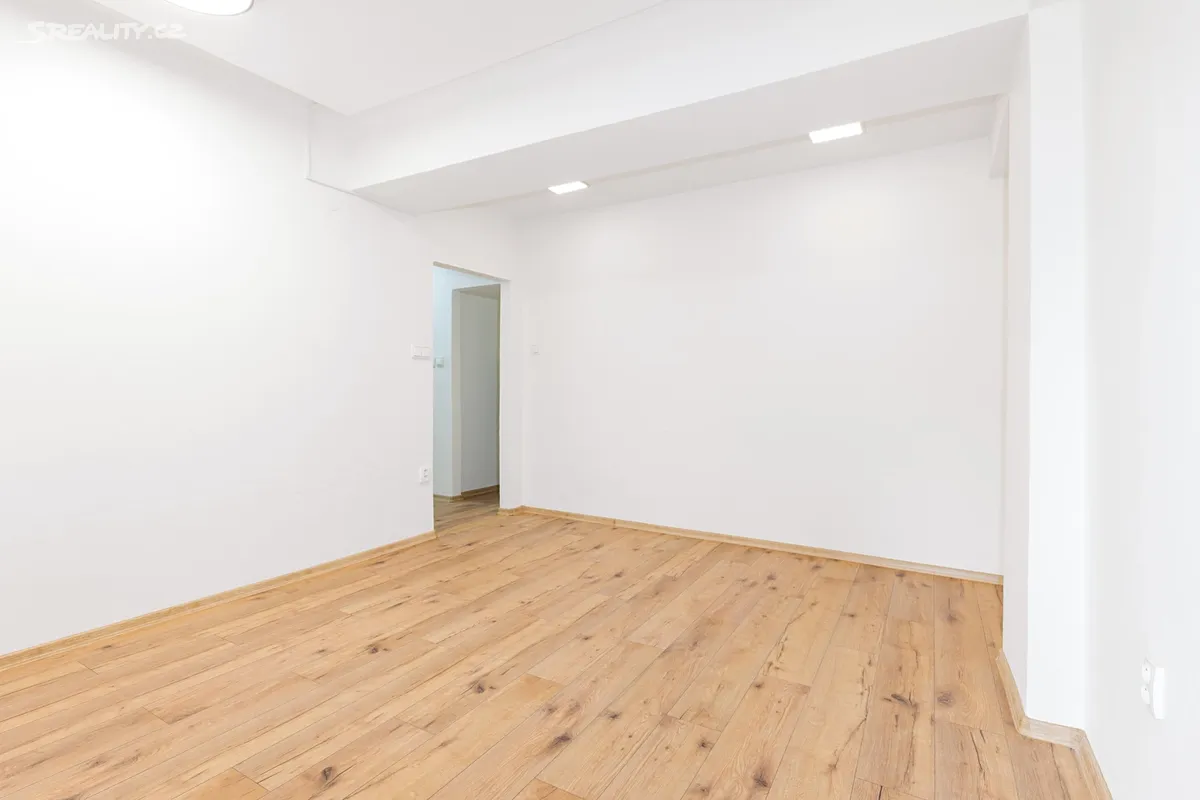Pronájem bytu 2+1 53 m² – pohled 5