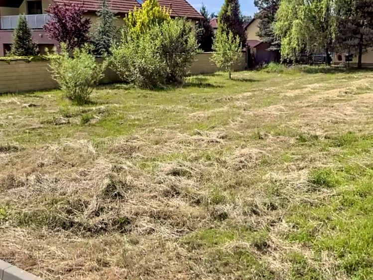 Grundstück zum Kauf, 805 m² (3 von 5)