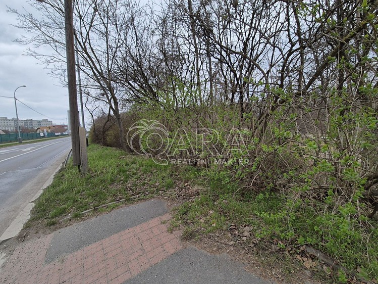 Pronájem pozemku, 2 000 m² (8 z 29)