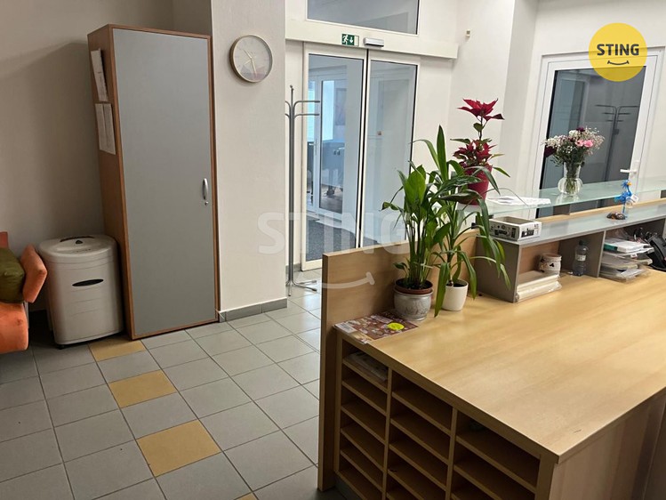 Pronájem komerčního prostoru, 280 m² (10 z 18)