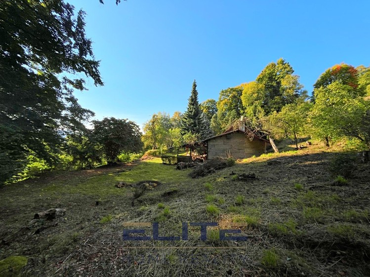 Grundstück zum Kauf, 4.461 m² (9 von 17)