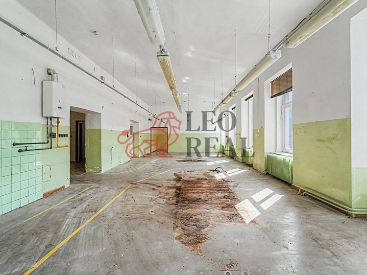 Haus zum Kauf, 500 m² (10 von 37)