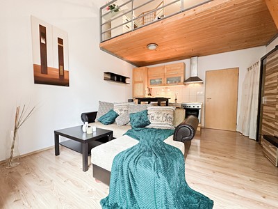 Pronájem bytu 2+kk 41 m² (Loft)
