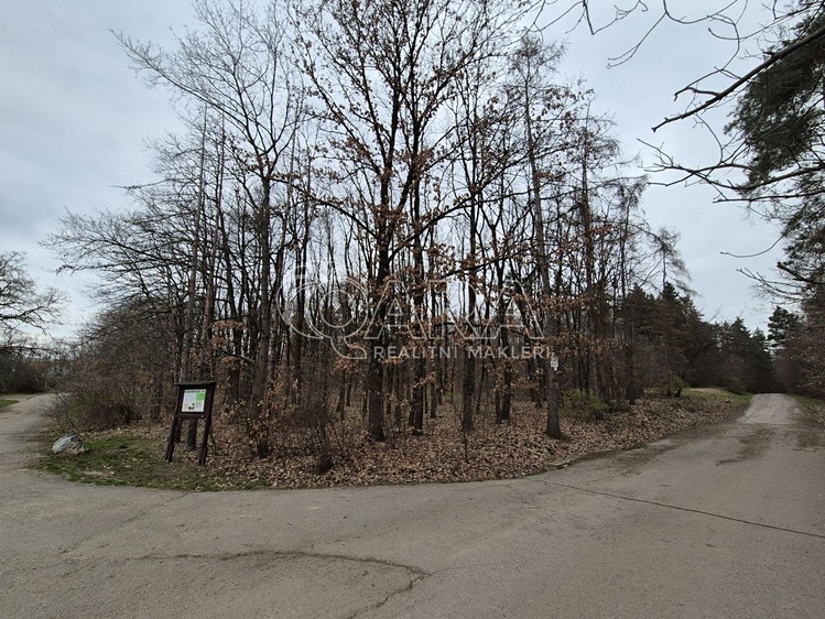 Pronájem pozemku, 2 000 m² (17 z 29)