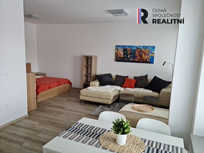 Pronájem bytu 1+kk 42 m²