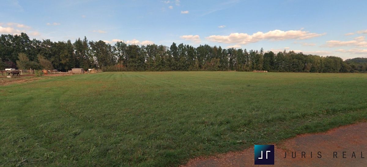 Prodej stavebního pozemku 5596 m² – fotografie 3