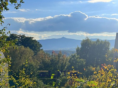 Grundstück zum Kauf, 4.461 m² (2 von 17)