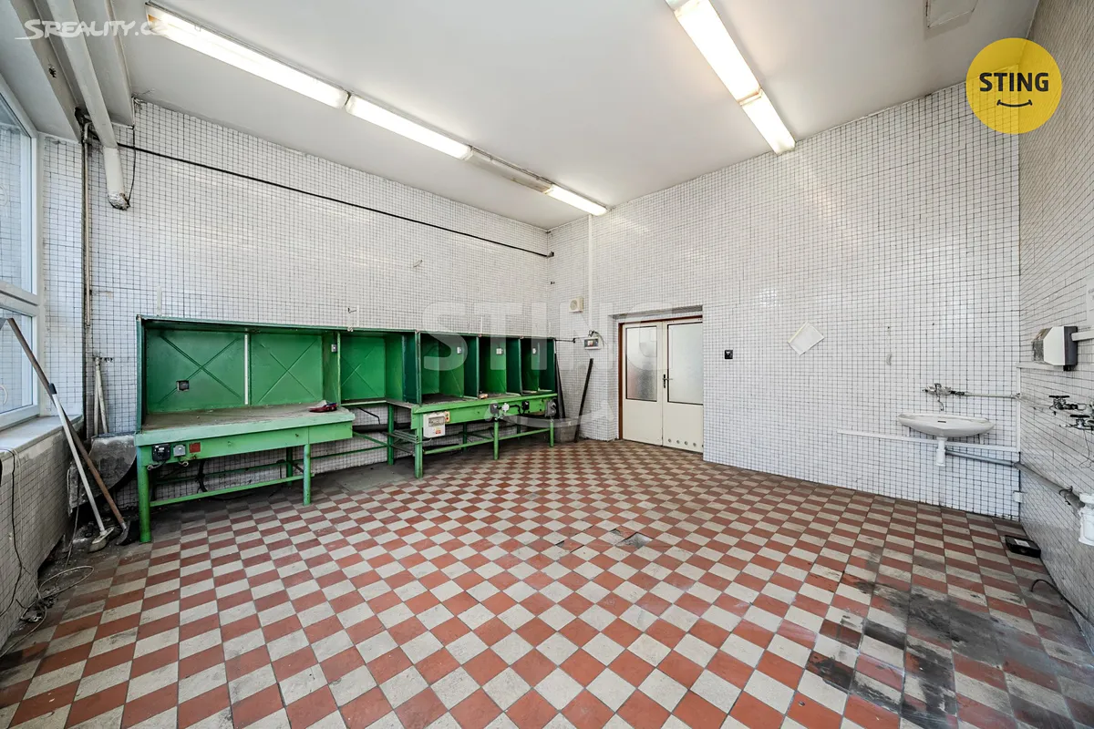 Pronájem komerční nemovitosti 556 m² - Widok 4