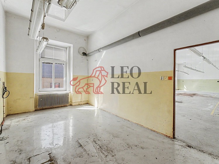 Haus zum Kauf, 500 m² (8 von 37)