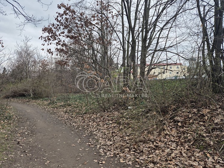 Pronájem pozemku, 2 000 m² (14 z 29)