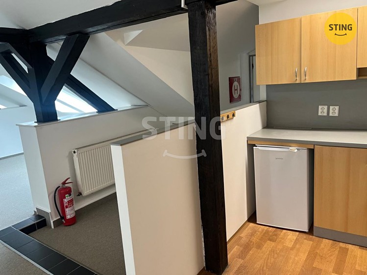 Pronájem komerčního prostoru, 280 m² (13 z 18)
