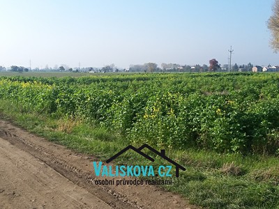 Prodej  pole 710 m²