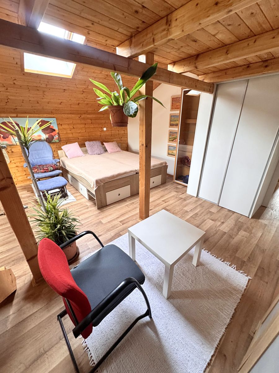 Pronájem bytu 1+1 46 m²