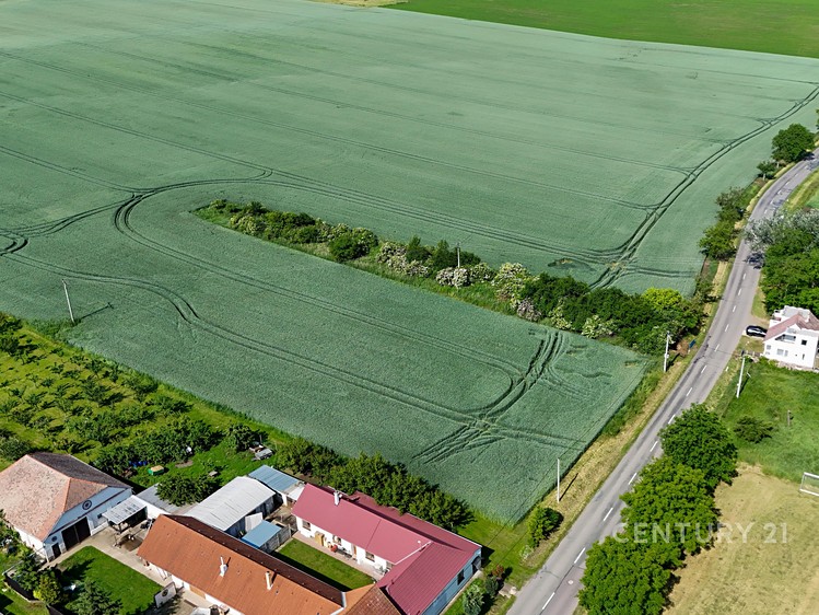 Ділянка на продаж, 1 000 м² (11 з 25)
