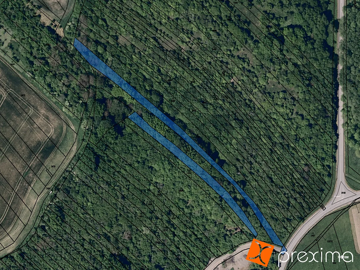 Prodej podílu 1/5 lesa 545 m²