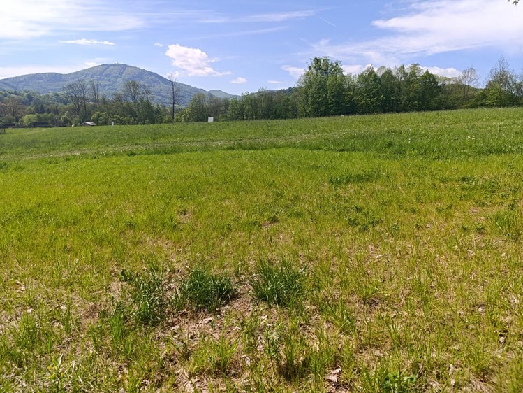 Grundstück zum Kauf, 2.292 m² (6 von 10)