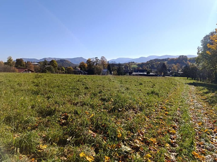 Grundstück zum Kauf, 1.482 m² (4 von 15)