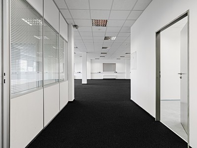Комерційне приміщення в оренду, 225 м² (2 з 10)