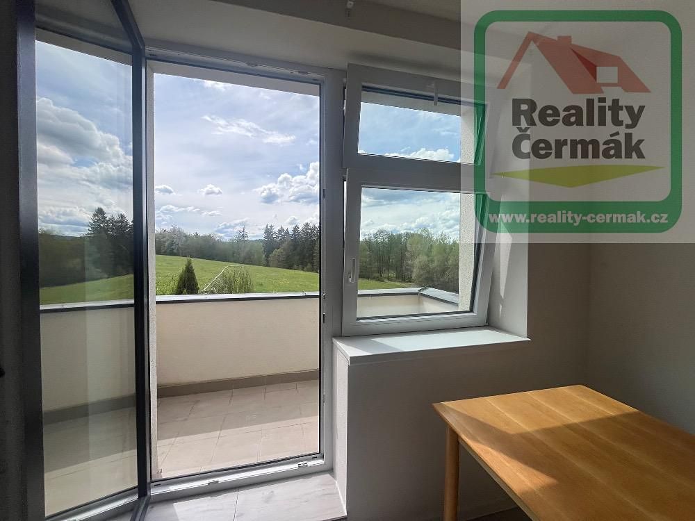 Pronájem bytu 1+1 40 m² – fotografie 4