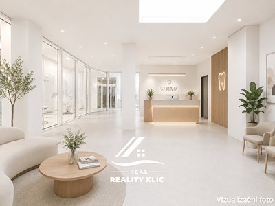 Pronájem ordinace 113 m²