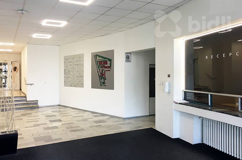 Pronájem kanceláře 30 m² – fotografie 4