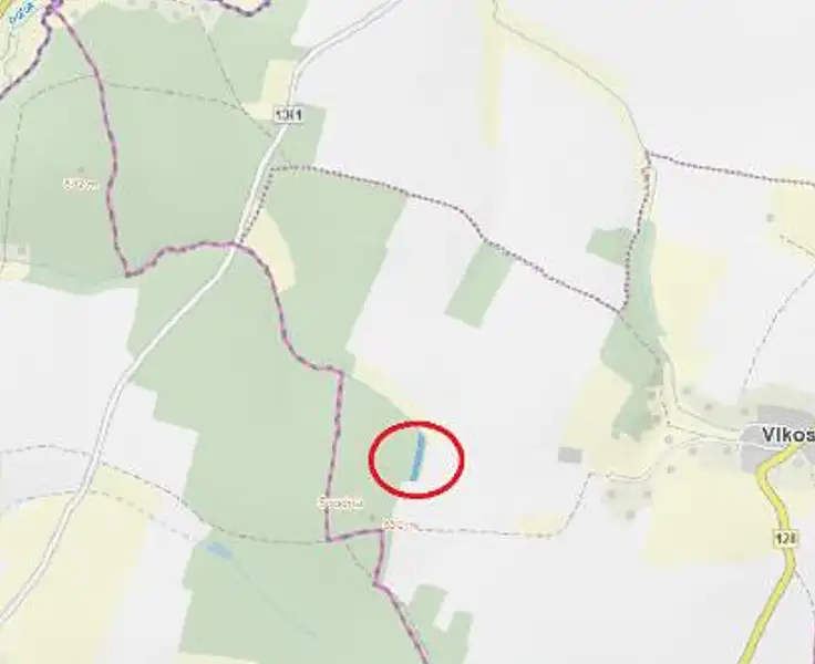 Prodej lesa 2403 m², Černovice – náhled fotky 3