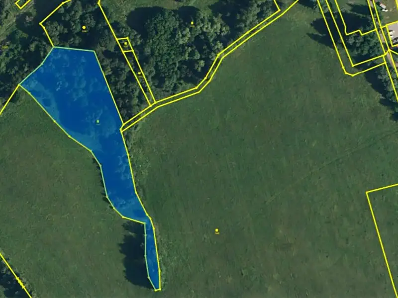 Prodej louky 8093 m², Heřmanice – náhled fotky 2