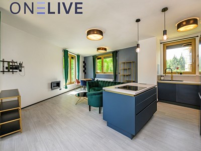 Pronájem bytu 2+kk 67 m²