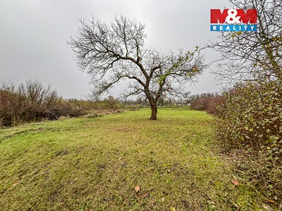 Prodej  pole 468 m² — photo 2