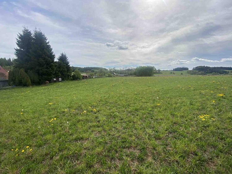 Grundstück zum Kauf, 4.850 m² (3 von 7)