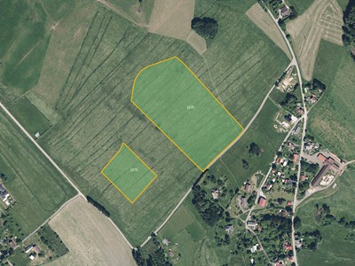 Prodej  louky 12 382 m²