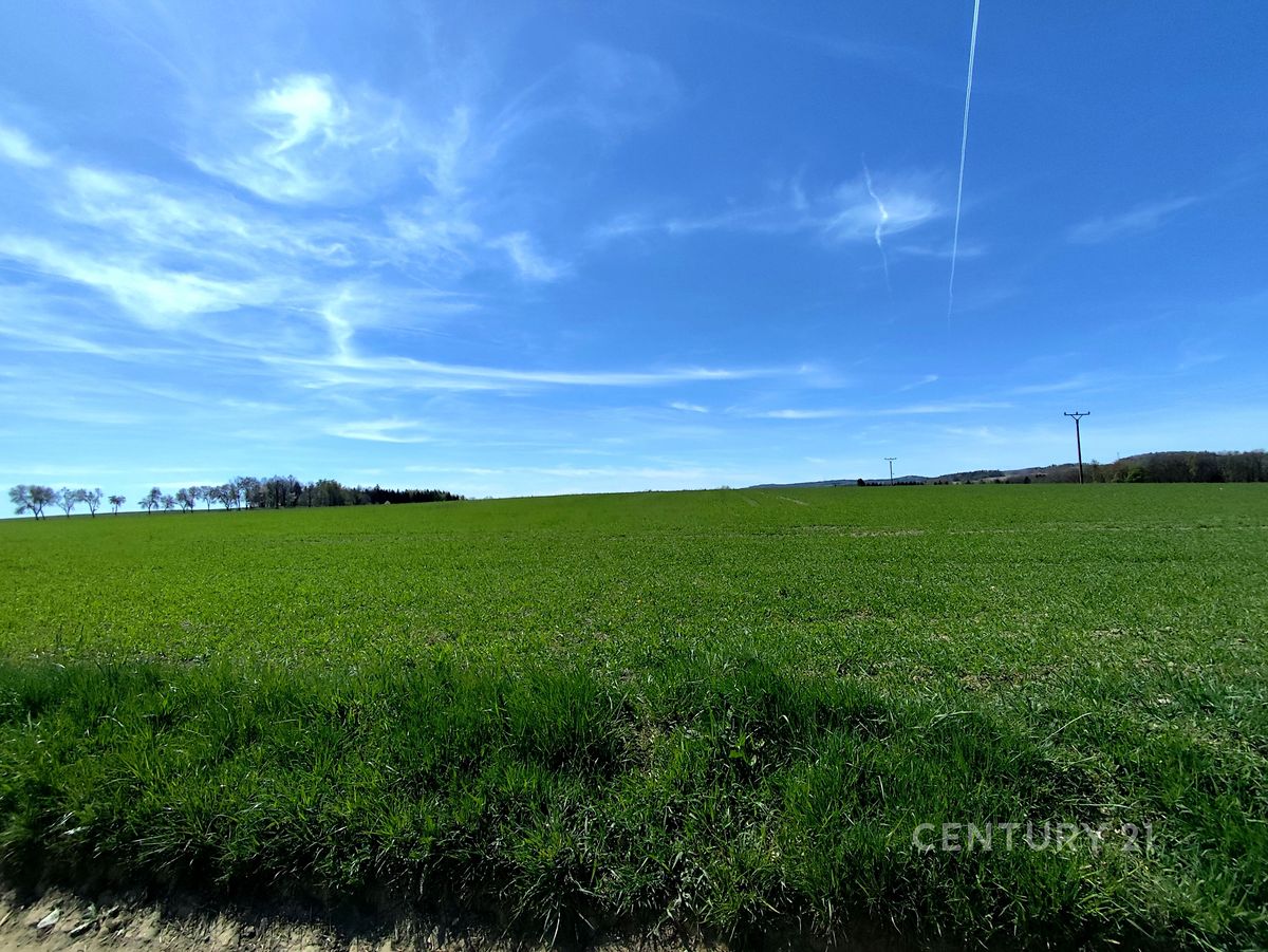 Prodej pole 40119 m² – fotografie 3