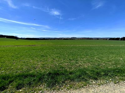 Prodej pole 40119 m²