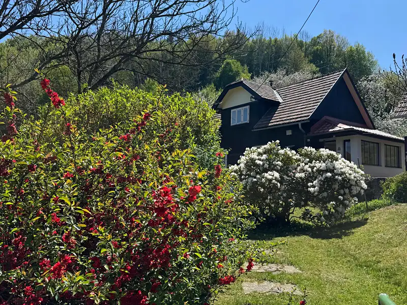 Prodej chalupy 87 m², pozemek 2247 m², Lužná – náhled fotky 2