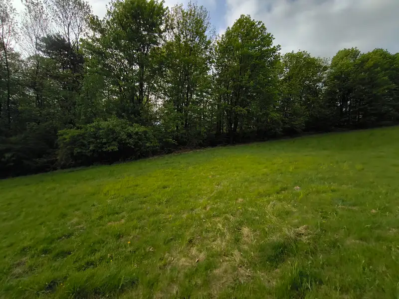 Prodej louky 10724 m², Pstruží – náhled fotky 3