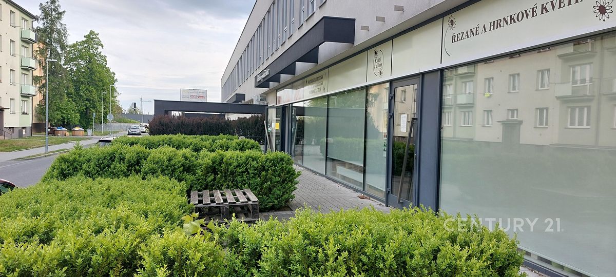 Pronájem obchodního prostoru 80 m² – fotografie 2