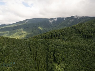 Prodej  pozemku 1 378 m²