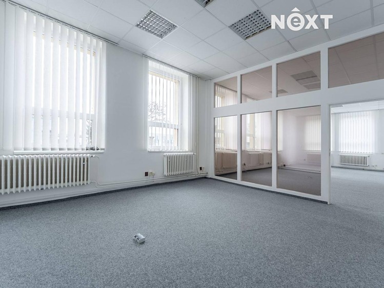 Комерційне приміщення в оренду, 251 м² (26 з 30)