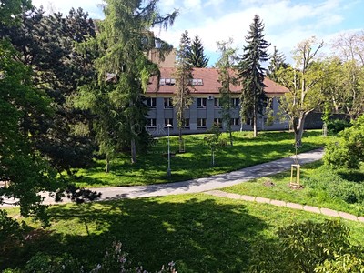 Pronájem bytu 1+kk 28 m²