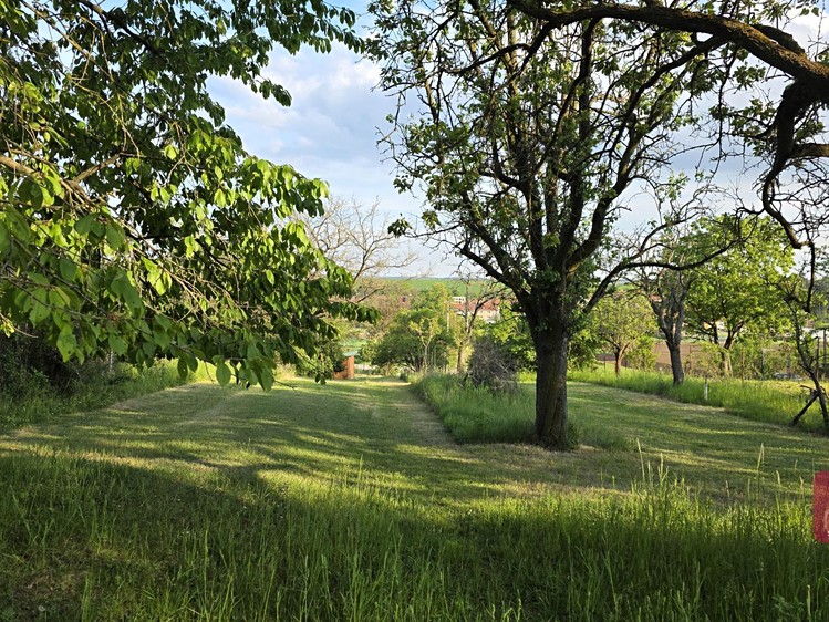 Ostatní