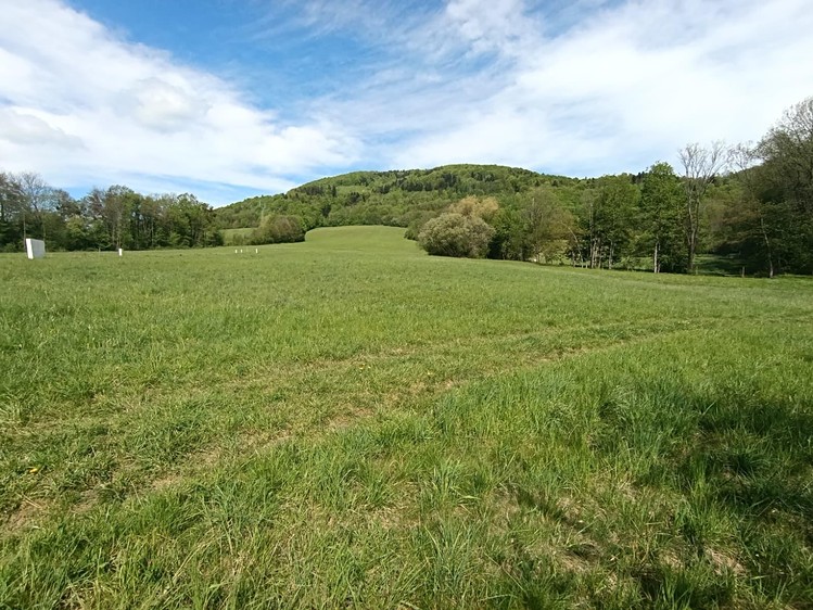 Grundstück zum Kauf, 2.292 m² (7 von 10)