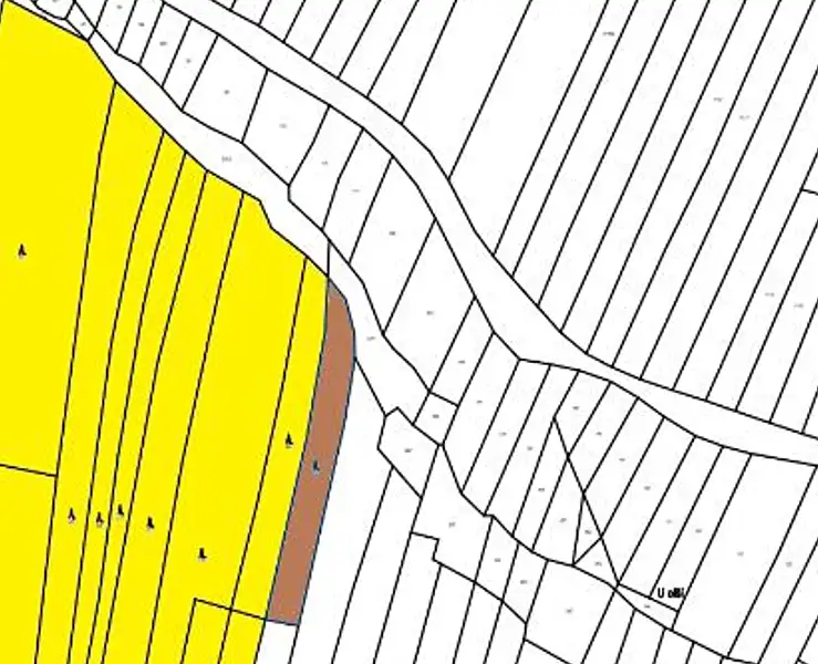 Prodej lesa 2403 m², Černovice – náhled fotky 2