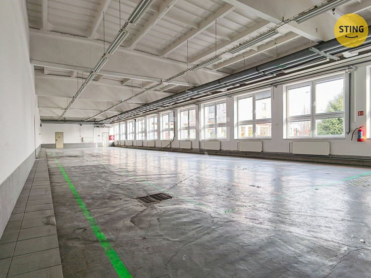 Комерційне приміщення в оренду, 600 м² (7 з 23)